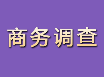 藁城商务调查